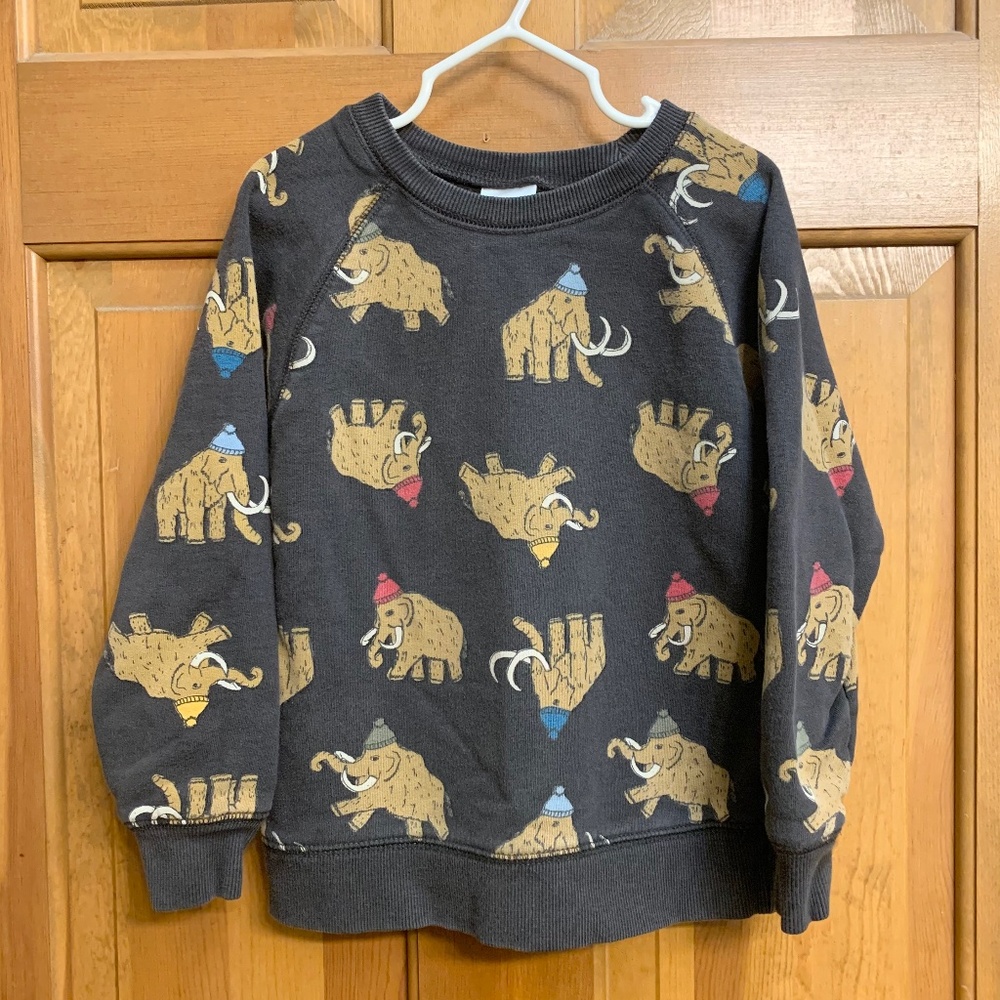 Hanna Andersson wooly mammoth sweatshirt sz5
